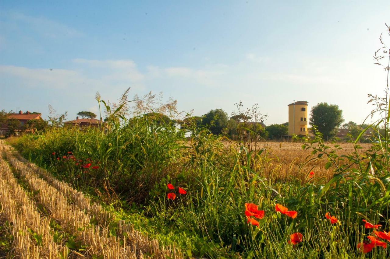 Il Silos Maccarese Bagian luar foto