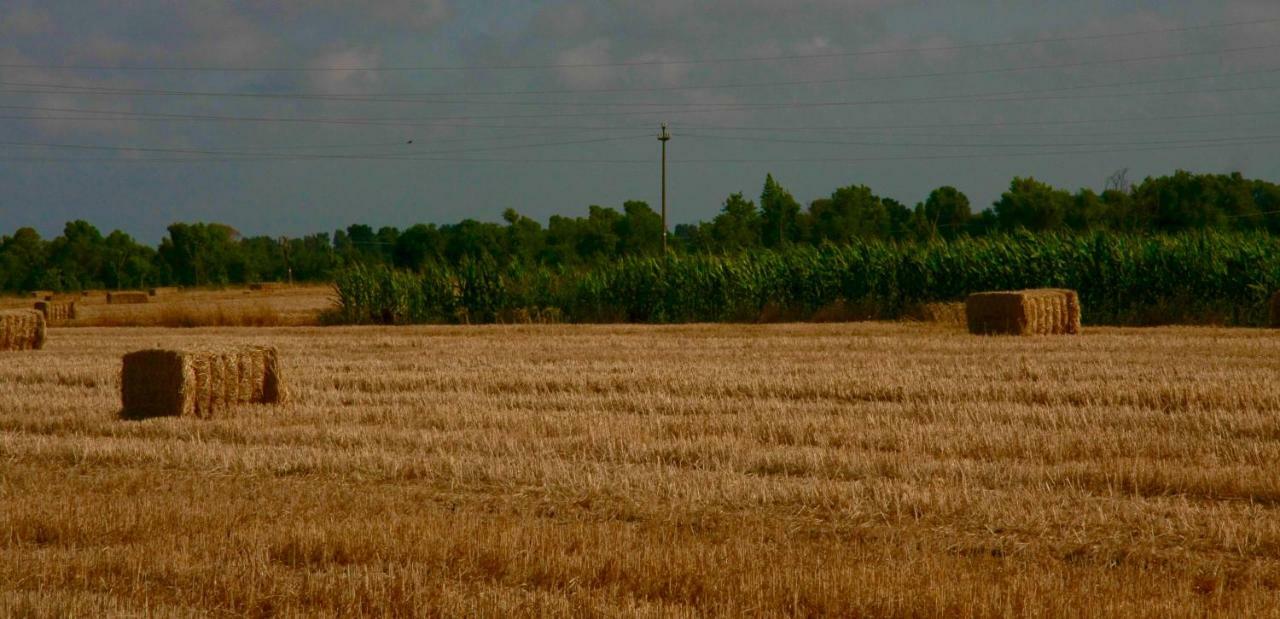 Il Silos Maccarese Bagian luar foto